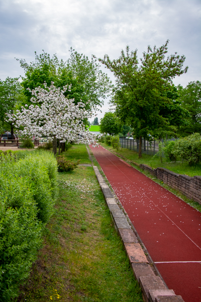 dsc_1540_2.jpg